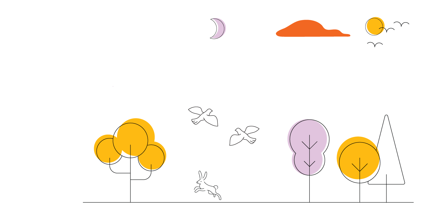 Elements