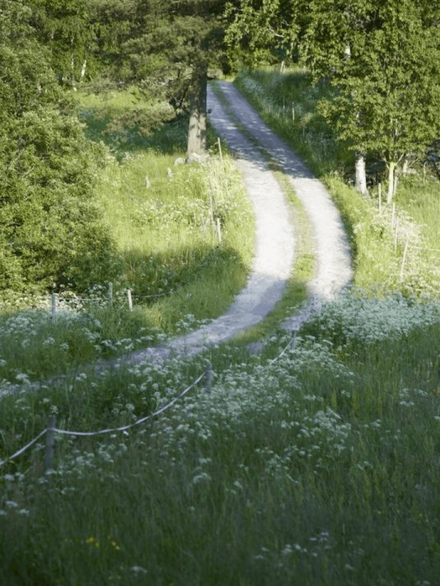 Road