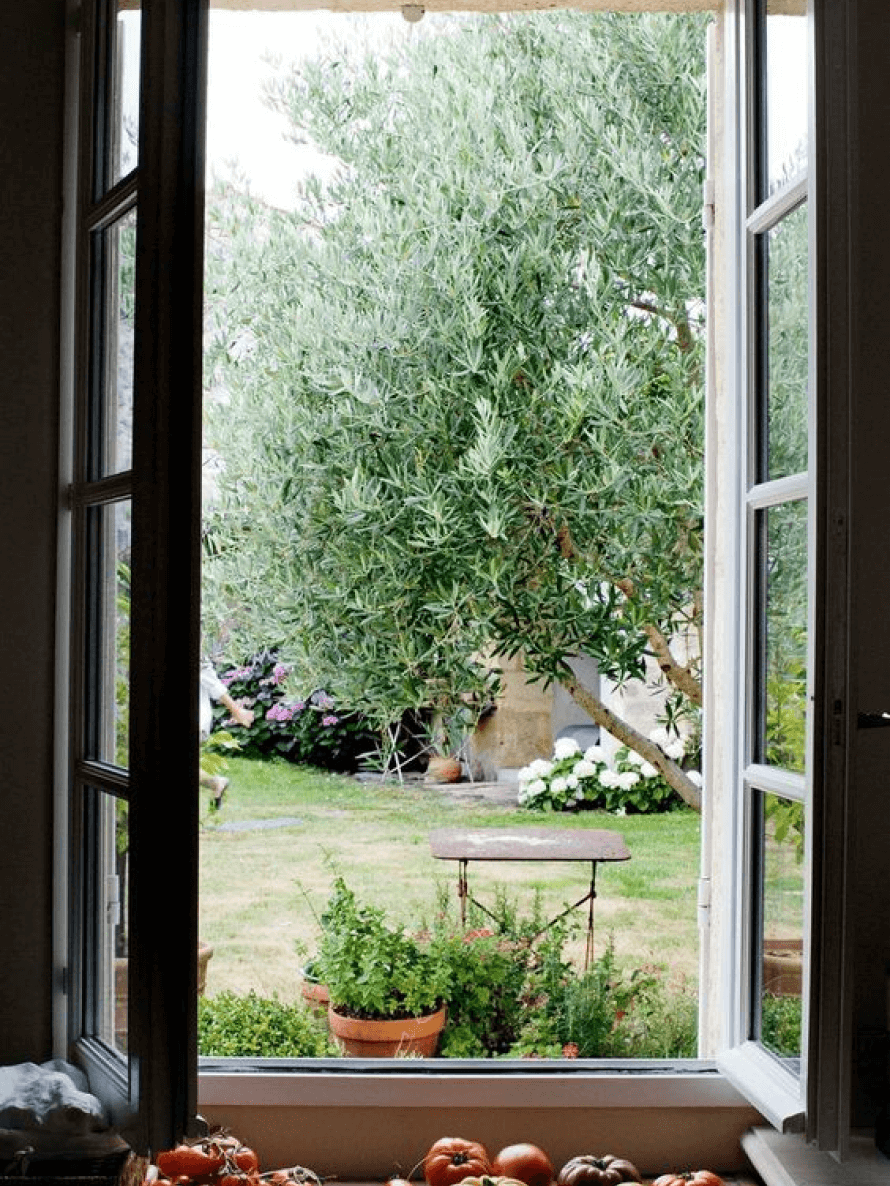 window